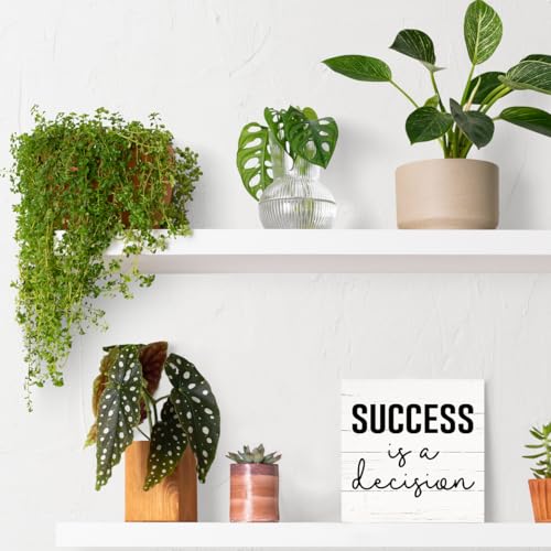 Inspirational Wood Sign, Motivational Desk Decor Signs, Modern Farmhouse Decoration for Table Shelf, Home Office Classroom Decor, Rustic Wooden Box Signs, Success is A Decision Sign, White - color: Inspirational17