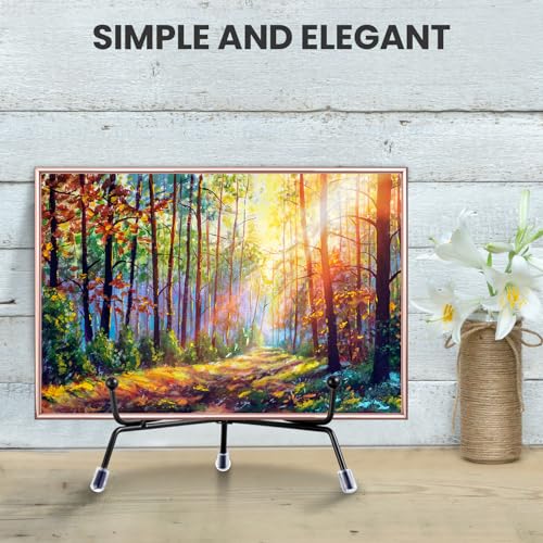 Chumia 18 Pcs Anti Slip Plate Stands for Display, Black Iron Easel Plate Holder Picture Frame Holder Stand for Display Decorative Photo Tabletop Artwork(8 Inch) - size: 8 Inch