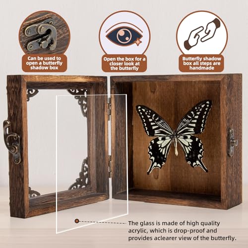 Taxidermy Butterfly Shadow Box Picture Frame - Real Butterfly Framed Meticulously Handcrafted, Butterfly in Frame for Gothic Room Decor (Citrus Swallowtail Butterfly (Family Papilionidae)) - color: Citrus Swallowtail Butterfly (Family Papilionidae)