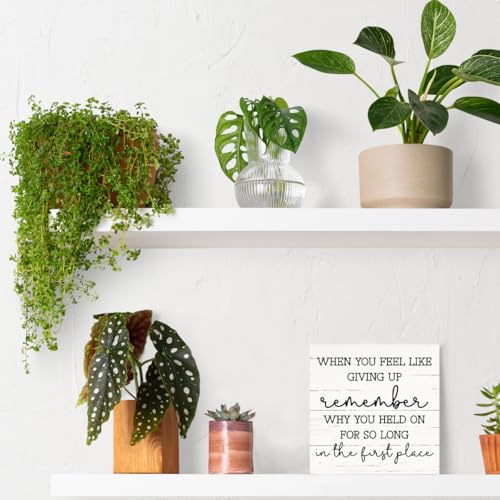 Motivational Box Wood Sign, Decorative Desk Signs and Plaques, Work Out Room Decor, Home Office Tabletop Decor, Cheer Up Sign Gift, Encouragement Gift, When You Feel Like Giving Up Sign, White - color: Inspirational19