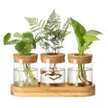 3Pcs Propagation Stations, Plant Terrarium with Lid and Wooden Stand,Desktop Glass Planter Hydroponics Vase,Home Office Living Room Decor Gifts - size: 8.7"L x 3.5"W x 4.7"H