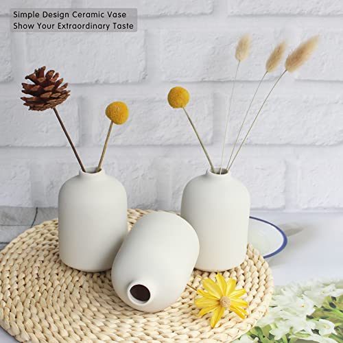 YANLING Small White Vase for Decor, 6 Pack Ceramic Vases for Pampas Grass, Boho Vase for Home Decor White Vases for Flowers, Modern Ceramic Vase Dried Flowers Vases - color: White-b, size: 6 Pack-Small