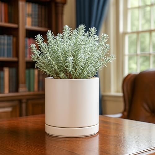 D'vine Dev Set of 2 Plants Pots, 6.5 Inch Ceramic Planter Pot for Plants with Drainage Hole and Saucer, Oatmeal, 94-V-C-8 - color: Oatmeal, size: 6 Inch