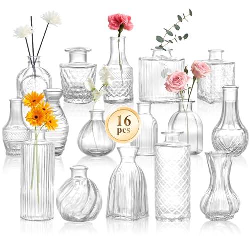DomeStar 16PCS Glass Bud Vases Set, Small Clear Cylinder Vases for Plant Propagation Station Plant Terrarium, Vintage Clear Bud Vase in Bulk for Rustic Wedding Centerpieces Home Table Flower Decor
