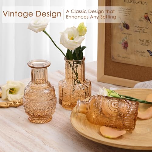 12 Pcs Glass Bud Vase Set, Small Glass Vases for Flowers, Mini Clear Bud Vases for Centerpieces, Wedding, Home, Office and Table Decoration, Amber - color: Amber, size: 12pcs