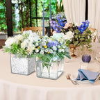 Tioncy 6 Pieces 6 x 6 Acrylic Square Vases for Centerpieces Clear Plastic Vase Cube Flower Vase Bulk for Wedding Centerpieces Home Office Floral Plant Succulent Pots Planters