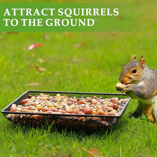 MIXXIDEA Ground Bird Feeder Tray 11x11 Inches, Metal Platform Mesh Seed Tray for Bird Feeders, Great Attracting Garden Yard Decoration for Wild Birds Squirrels Dove,2 Pack - size: 11x11 inches (2 pack)