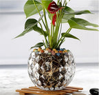 Glass Flowerpot, Planters,Vase, Hydroponic Flowerpot, Candy Bowl, Candlestick,Key Bowl,Decorative Bowls(B) - style: b
