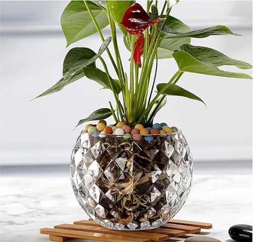 Glass Flowerpot, Planters,Vase, Hydroponic Flowerpot, Candy Bowl, Candlestick,Key Bowl,Decorative Bowls(B) - style: b