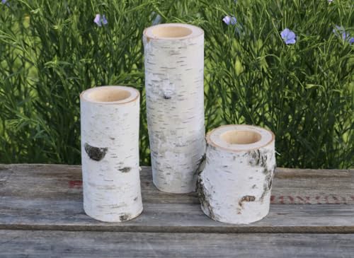 Rustic White Birch Wood Candle Holders Set – Natural Log Centerpiece Decor for Wedding, Holiday, or Everyday Use – Set of 3 Sizes (Taper Candle Size) - color: Taper Candle Size