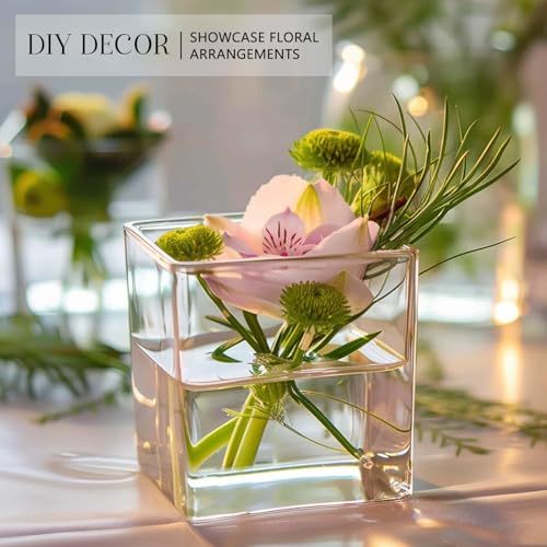 KEYWING 6 Pack Square Glass Vase 5" x 5" x 5", Clear Flower Vases for Centerpieces, Square Flower Vase Candle Holder for Wedding, Party, Home Office Decoration - size: 5 Inch