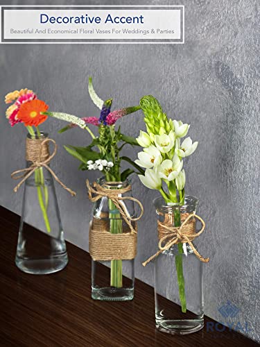 Royal Imports Clear Glass Bottle Bud Vase, Small Single Stem Flower Centerpiece, Mini Decorative Floral Jars, Rustic Farmhouse Home Decor, Kitchen, Fireplace, Shelf, Narrow One Rose Holder, Set of 3 - size: Large (Set of 3)