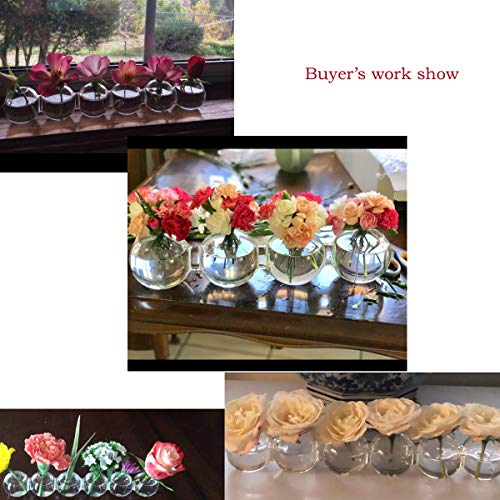 Clear Glass Bud Vase Cute Flower Vase for Short Plant Mother's Day Wedding Centerpiece Home Decoration Floral Arrangements Holder (3.15")