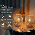 JHY DESIGN Set of 2 Metal Cage LED Lanterns Battery Powered Cordless Accent Light with LED Great for Weddings Parties Patio Events for Indoors Outdoors(White) - style: Set of two White egg