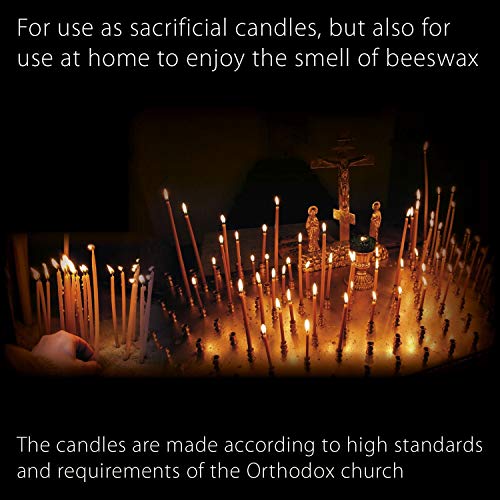 Danilovo Pure Beeswax Candles - Honey-Scented, Decorative Thin Taper Candles - Ideal for Birthday Decoration or Church Prayers - Drip Free, Tall & Smokeless Pack of 50 pcs, 6.5 x 0.22 inch - size: 6.5 in