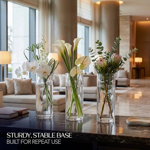 Glass Cylinder Flower Vase Centerpieces for Tables 6"x 12" Tall (11.1" Usable Depth) Set of 6- Glass Vase Candle Holders Wedding Decor Vases for Centerpieces, Home & Event Decorations - Royal Imports - size: 6" wide x 12" tall - Set of 6