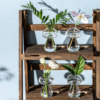 Mushroom Glass Planter, Plant Propagation Station, Cute Mushroom Vase, Clear Glass Terrarium Jar Propagation Vase for Indoor Plants Home Decor, Gifts for Plant Lovers (2)