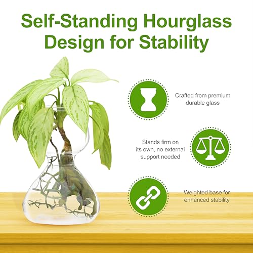 Garden Guru Plant Propagation Stations - Clear Glass Bud Vases Set of 2 - Mini Vases for Wedding Centerpieces, Cafe Décor, Tea Shop Displays - Small Hydroponic & Flower Vase - size: Set of 2