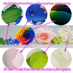Preserved Real Roses with Colorful Mood Light Wishing Bottle,Eternal Rose，Never Withered Flowers, Christmas Anniversary Valentine's Mother's Day,a Gifts for Women 4.3inch 1pcs（Light Blue） - color: Light Blue