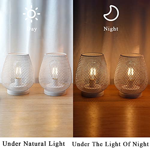JHY DESIGN Set of 2 Metal Cage LED Lanterns Battery Powered Cordless Accent Light with LED Great for Weddings Parties Patio Events for Indoors Outdoors(White) - style: Set of two White egg