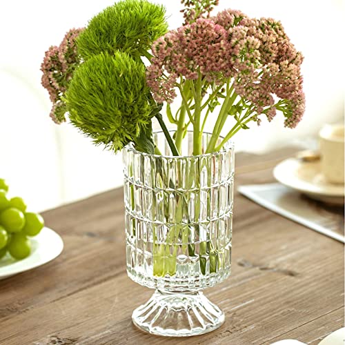 BLOFLO Embossed Glass Vase, 7'' Crystal Glass Vases, Pedestal Big Base Glass Bouquet Vase, Hydroponic Glass Transparent Vase for Home Office Wedding Dining Table Party (Ribbed Pattern) - color: Ribbed Pattern