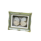 1Pcs Real Butterfly Framed Handmade, Taxidermy Butterfly Shadow Box Collection, Framed Butterfly Taxidermy for Oddities and Curiosities Gifts Tabletop Ornaments (L-Butterfly Specimen+Photo Frame) - color: L-butterfly Specimen+photo Frame