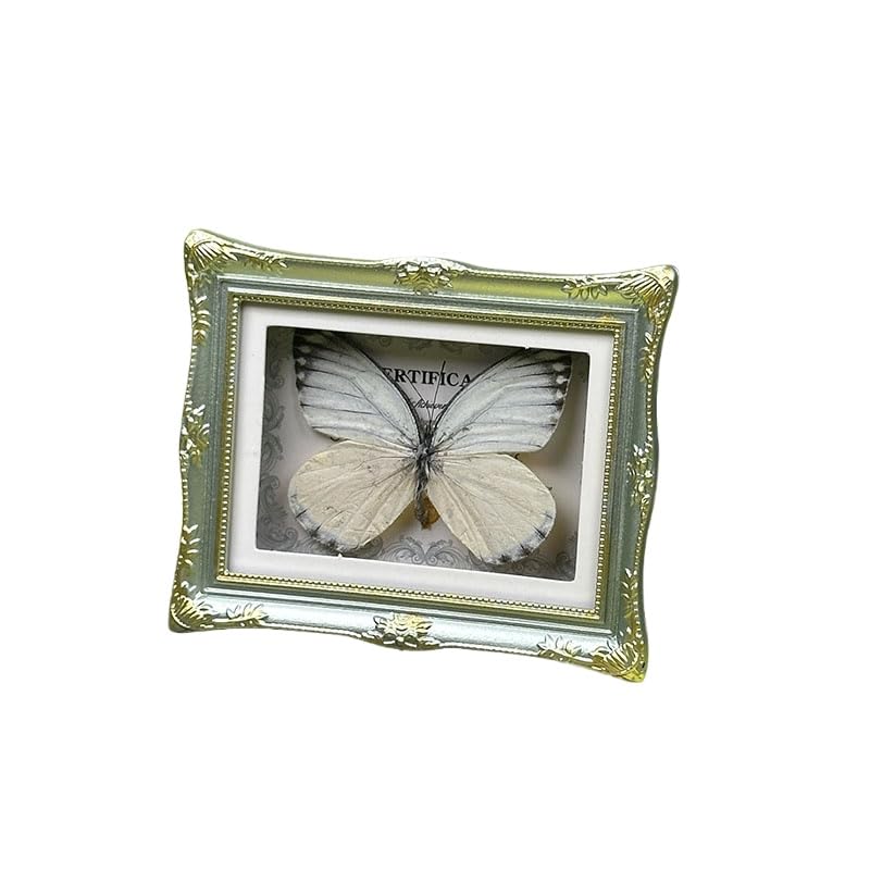 1Pcs Real Butterfly Framed Handmade, Taxidermy Butterfly Shadow Box Collection, Framed Butterfly Taxidermy for Oddities and Curiosities Gifts Tabletop Ornaments (L-Butterfly Specimen+Photo Frame) - color: L-butterfly Specimen+photo Frame