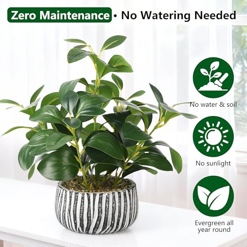 florisso Artificial Succulents with Fig Leaf Greenery in Rustic Clay Planter, Fake Succulents Potted Decor for Farmhouse, Bathroom, Bedroom, Kitchen, Office Desk and Coffee Table (Black White) - color: White & Black Cement Planter