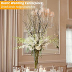 30Pcs Real Dried Birch Twigs - 16” Decorative 100% Natural Birch Branches for Easter Vases, Curly Willow Branches, DIY, Floral Arrangement, Twig Wreath, Centerpiece, Rustic Home Decor - size: 30