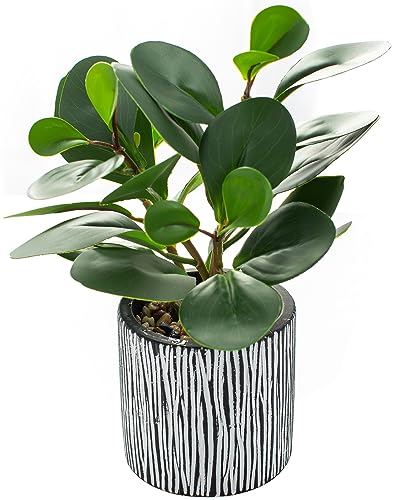 AlphaAcc Fake Plants Real Looking Greenery Artificial Plants Indoor Potted Plant with Rustic Black Clay Planter for Farmhouse Bathroom Bedroom Kitchen Office Table Decor 8" - color: Green Greenery Plant 8" H