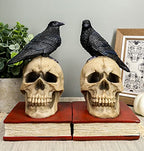 Ebros Edgar Allan Poe Harbinger of Doom and Bad Omens Raven Crow Perching On Skull with Ancient Book Pair of Bookends Statue 7.5" Tall Bibliography Gothic Macabre Ossuary Figurine As Halloween Decor