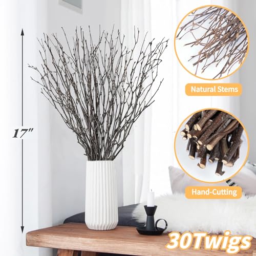 30Pcs Real Dried Birch Twigs - 16” Decorative 100% Natural Birch Branches for Easter Vases, Curly Willow Branches, DIY, Floral Arrangement, Twig Wreath, Centerpiece, Rustic Home Decor - size: 30