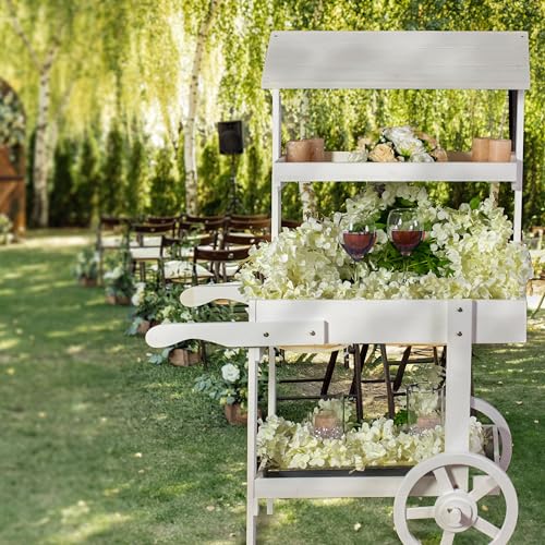 Sunnydaze Flower Cart Display Stand with Wheels - Dessert Candy Cart - Market Flower Display Stand - 2 Shelves - Fir Wood - White - color: White