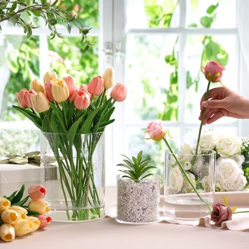 meekoo 3 Pcs Flower Acrylic Vase Cylinders Round Decorative 4 x 4 in, 5 x 6 in, 6 x 8 in Vase Break Resistant Acrylic Flower Cylinder for Centerpiece Home Wedding Decor(Clear, Classic) - color: Classic, size: 4 x 4 in, 5 x 6 in, 6 x 8 in