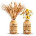 ZENS Wicker Boho Vase Set of 2, Glass Flower Vase with Hand Woven Rattan Cover for Pampas Grass, Artistic Boho Country Vases for Fall Flower Decor, Home Table Centerpiece, Farmhouse Decorative - size: 2
