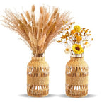 ZENS Wicker Boho Vase Set of 2, Glass Flower Vase with Hand Woven Rattan Cover for Pampas Grass, Artistic Boho Country Vases for Fall Flower Decor, Home Table Centerpiece, Farmhouse Decorative - size: 2