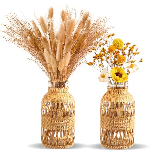 ZENS Wicker Boho Vase Set of 2, Glass Flower Vase with Hand Woven Rattan Cover for Pampas Grass, Artistic Boho Country Vases for Fall Flower Decor, Home Table Centerpiece, Farmhouse Decorative - size: 2
