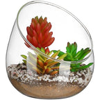 DOITOOL Clear Slant Cut Bowl Glass Vase, Glass Terrarium Candy Dish Fish Bowl Vase Fruit Jar Air Plant Holder for Succulents, Cacti, Moss, Terrariums, Flower Centerpiece, Height: 4.7", Base: 4"