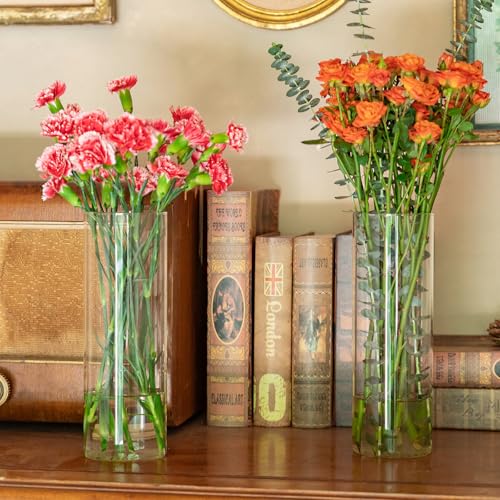 7pcs Glass Cylinder Vases for Centerpieces - 10 Inch Tall Glass Vases for Flower, Clear Flower Vase Bulk Floating Candle Vase for Table Centerpiece Wedding Home Décor - size: 7 Pack 10 Inch