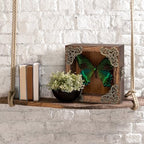 Taxidermy Butterfly Shadow Box Picture Frame - Real Butterfly Framed Meticulously Handcrafted, Framed Butterfly Taxidermy Gothic Room Decor (Green-Banded Queen Butterfly (Family Papilionidae)) - color: Green-banded Queen Butterfly (Family Papilionidae)