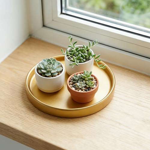 4 Pack Ceramic Plant Saucer Tray 4.72 Inch Round Flower Pot Drip Trays for Indoor Outdoor Plants Succulents