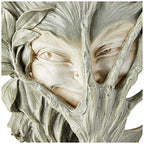 BASHFUL WOOD SPRITE PLAQUE