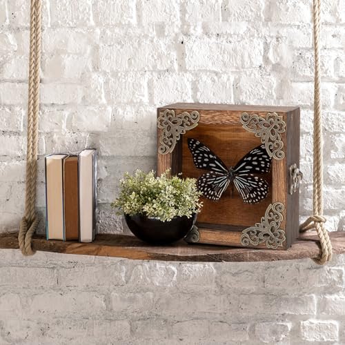 Real Framed Butterflies Shadow Boxes - Framed Butterfly Taxidermy Unique Metal Pushpin Fixation, Oddities and Curiosities Gifts Butterfly Decoration Box (Blue-Spotted Nymphalid (Nymphalidae)) - color: Blue-spotted Nymphalid (Nymphalidae)