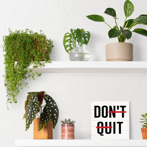 Inspirational Wood Signs, Farmhouse Wooden Plaques, Tabletop Decor, Motivational Desk Sign for Home Office Cubicle Workplace Decor, Encouragement Gift for Friends, Don't Quit Sign, White - color: Inspirational13