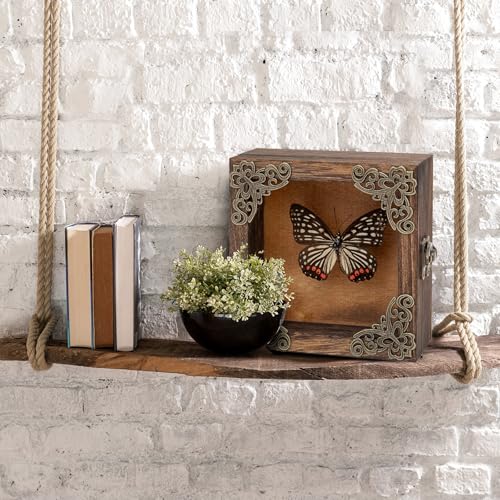 Real Taxidermy Butterfly Shadow Box - Framed Butterfly Taxidermy Meticulously Handcrafted, Goth Gifts Butterfly Decoration Box (Black-Veined Nymphalid (Nymphalidae)) - color: Black-veined Nymphalid (Nymphalidae)