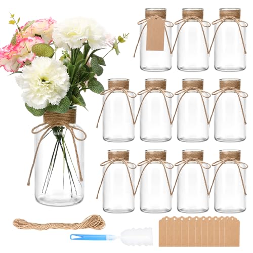 12 Pack Glass Flower Vases with Rope,Brajttt Vintage Bud Vases in Bulk,Mason Jars for Centerpieces,Flower Vase for Centerpieces and Tag for Weddings,Home Decor & DIY Projects