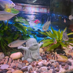 Stone Buddha Sculpture Zen Praying Statue Sculptures Ornament for Wealth Good Luck Feng Shui Decor Home Office Fish Tank Decoration