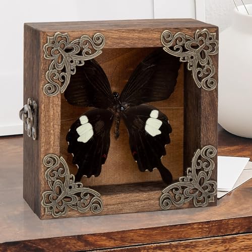 Taxidermy Butterfly Shadow Box Picture Frame - Real Butterfly Framed Meticulously Handcrafted, Framed Butterfly Taxidermy Gothic Room Decor Great White Spotted Butterfly (Family Papilionidae) - color: Great White Spotted Butterfly (Family Papilionidae)
