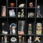 6Pcs Mystery Natural Oddities Collection Box - Real Fossils, Crystals & Taxidermy in Glass Vials | Dark Academia Decor for Adults & Kids | Witchy Curio Cabinet Decor | Unique Gifts for Science Lovers - style: 6Pcs