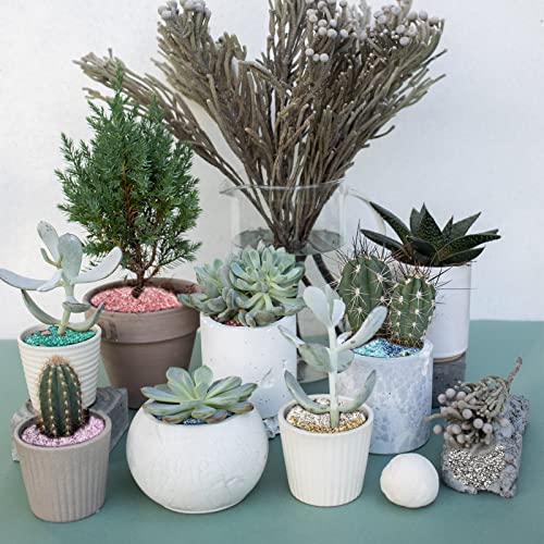 HappyFiller Metallic Baige Crushed Glass Sand,1.3 LB(1.5 Cup) 3-7mm Vase Filler,Wedding Table Centerpiece,Candle Holder,Epoxy Resin Art,Craft Glitter,Terrarium Gravel - color: Baige
